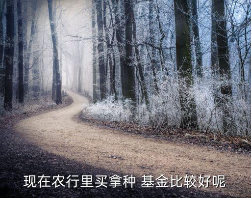 現(xiàn)在農(nóng)行里買(mǎi)拿種 基金比較好呢