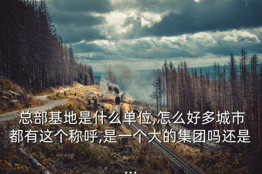 上?？偛拷?jīng)濟促進中心,四川省經(jīng)濟促進中心蘇虎彪