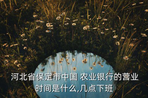  河北省保定市中國 農業(yè)銀行的營業(yè)時間是什么,幾點下班