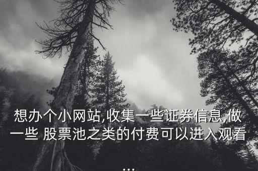 想辦個小網(wǎng)站,收集一些證券信息,做一些 股票池之類的付費可以進(jìn)入觀看...