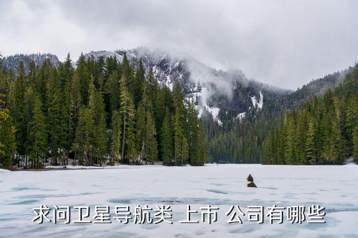 激光陀螺上市公司,陀螺世界是準上市公司嗎