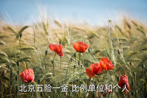  北京五險(xiǎn)一金 比例單位和個人