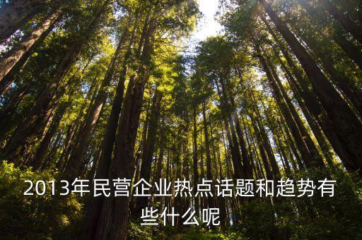 2013年民營企業(yè)熱點(diǎn)話題和趨勢(shì)有些什么呢