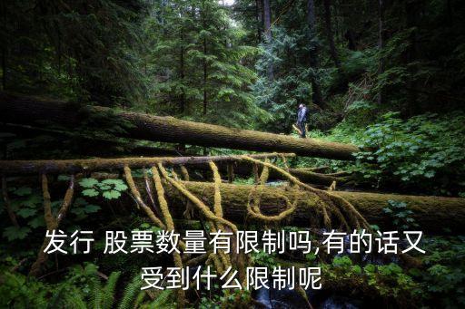  發(fā)行 股票數(shù)量有限制嗎,有的話(huà)又受到什么限制呢
