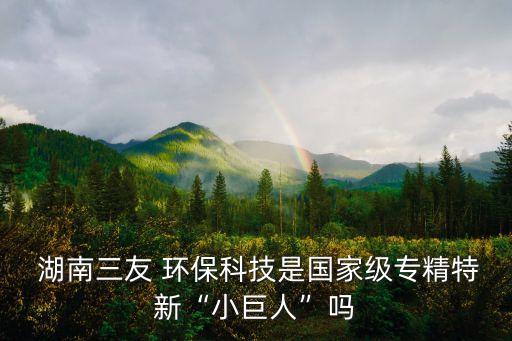  湖南三友 環(huán)?？萍际菄壹?jí)專精特新“小巨人”嗎