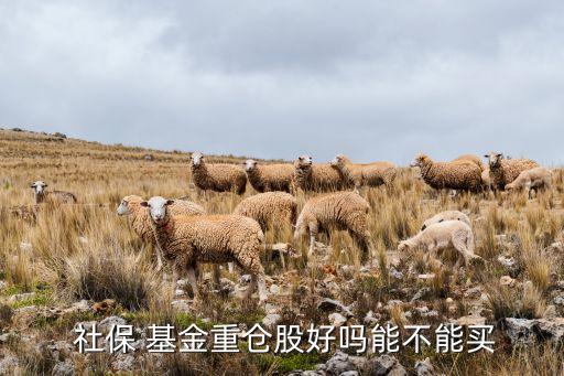 社保基金持股,a股社保基金持股