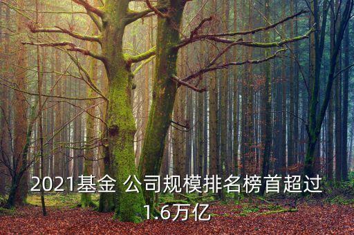 2021基金 公司規(guī)模排名榜首超過1.6萬(wàn)億