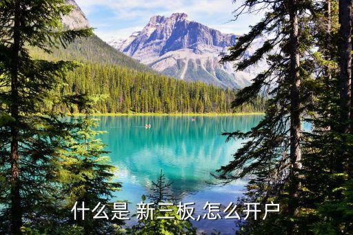個(gè)人投資者如何投資新三板,簡述個(gè)人投資者的投資目的