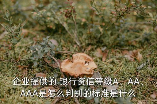 企業(yè)提供的 銀行資信等級(jí)A、AA、AAA是怎么判別的標(biāo)準(zhǔn)是什么