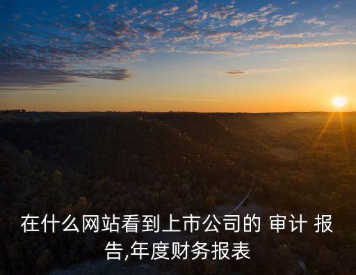 華映集團(tuán)審計報告,旺旺集團(tuán)審計報告