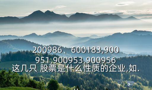 200986、600183,900951,900953,900956這幾只 股票是什么性質(zhì)的企業(yè),如...