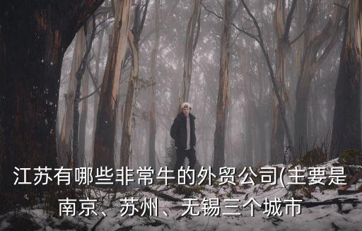 江蘇有哪些非常牛的外貿(mào)公司(主要是南京、蘇州、無錫三個(gè)城市