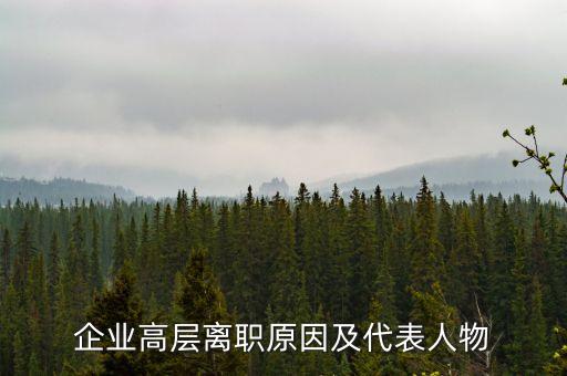 江蘇上市公司高管,上市公司高管買(mǎi)賣(mài)股票規(guī)定