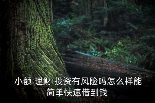  小額 理財(cái) 投資有風(fēng)險嗎怎么樣能簡單快速借到錢