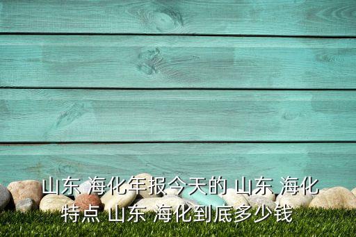 山東?；煞萦邢薰句逅貜S,海王溴素集團(tuán)股份有限公司