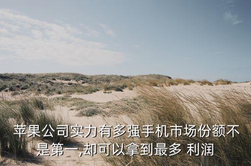  蘋(píng)果公司實(shí)力有多強(qiáng)手機(jī)市場(chǎng)份額不是第一,卻可以拿到最多 利潤(rùn)