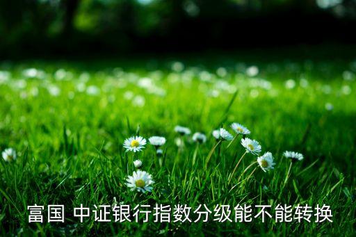 基金富國中證移動(dòng),富國中證新能源汽車基金A