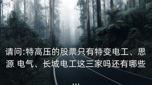 請問:特高壓的股票只有特變電工、思源 電氣、長城電工這三家嗎還有哪些...