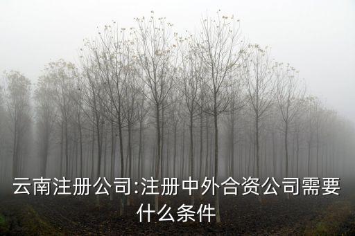 云南注冊(cè)公司:注冊(cè)中外合資公司需要什么條件