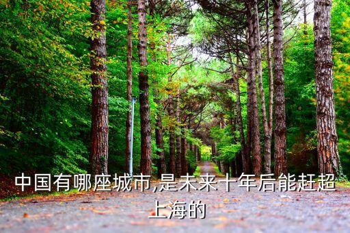 中國(guó)有哪座城市,是未來十年后能趕超 上海的