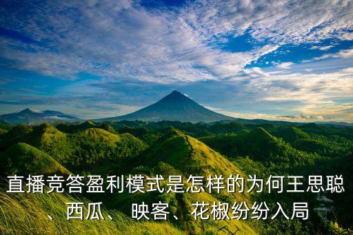 直播競(jìng)答盈利模式是怎樣的為何王思聰、西瓜、 映客、花椒紛紛入局