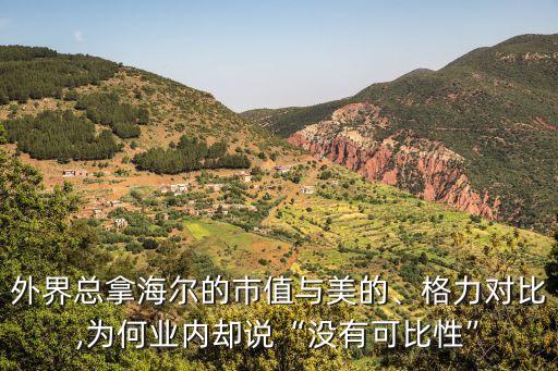 外界總拿海爾的市值與美的、格力對比,為何業(yè)內(nèi)卻說“沒有可比性”