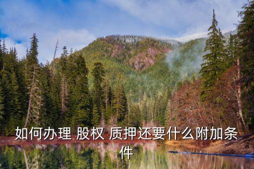 如何辦理 股權 質押還要什么附加條件