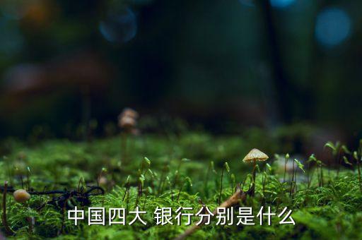 中國(guó)四大 銀行分別是什么