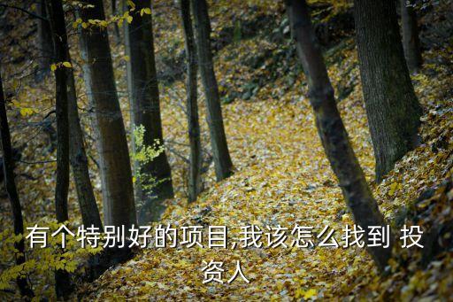 鉀鹽投資,亞洲鉀鹽投資集團