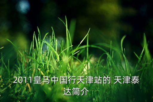 2011皇馬中國行天津站的 天津泰達(dá)簡(jiǎn)介