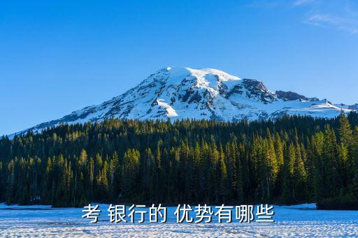 銀行優(yōu)勢(shì),物流管理專業(yè)去銀行優(yōu)勢(shì)