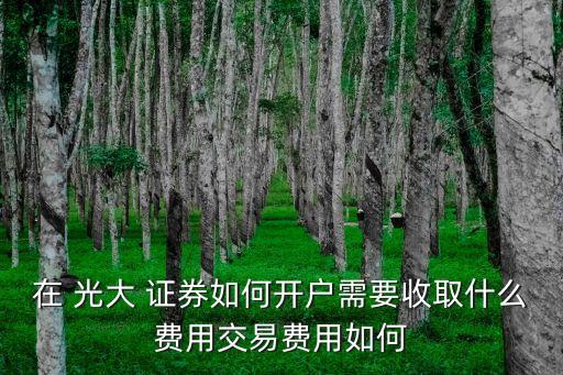 在 光大 證券如何開(kāi)戶(hù)需要收取什么費(fèi)用交易費(fèi)用如何