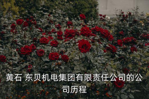 黃石 東貝機電集團(tuán)有限責(zé)任公司的公司歷程