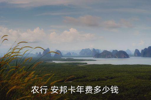 農(nóng)行 安邦卡年費(fèi)多少錢(qián)