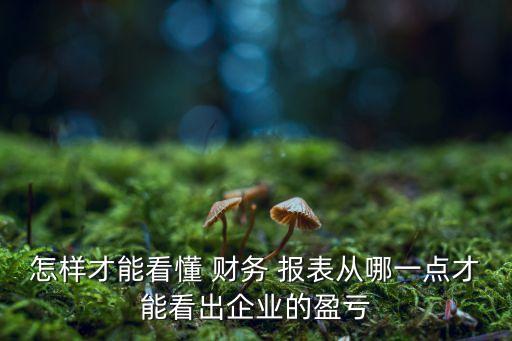 怎樣才能看懂 財務(wù) 報表從哪一點(diǎn)才能看出企業(yè)的盈虧