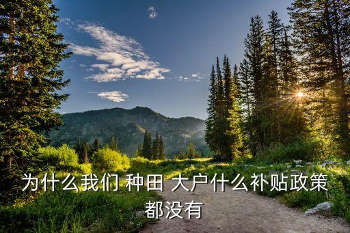 中國(guó)種田大戶(hù)服務(wù),種田大戶(hù)國(guó)家給補(bǔ)貼是多少錢(qián)一畝
