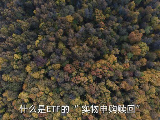 實物基金,消費基金的實物形式
