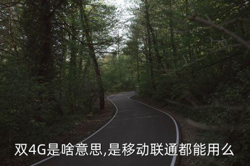 中國聯通雙4g運營模式