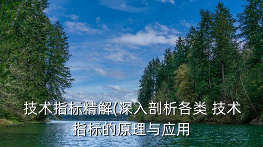  技術(shù)指標精解(深入剖析各類 技術(shù)指標的原理與應(yīng)用
