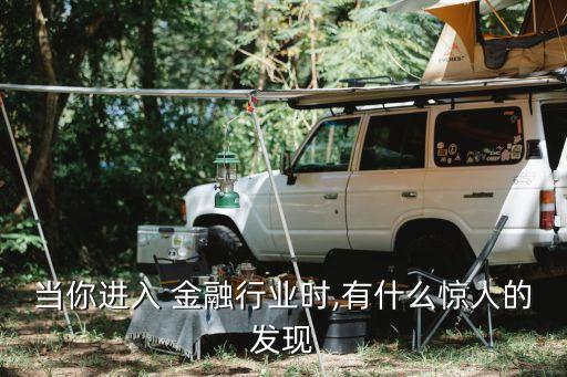 當你進入 金融行業(yè)時,有什么驚人的發(fā)現
