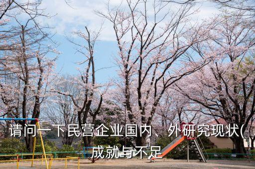 請問一下民營企業(yè)國內(nèi)、外研究現(xiàn)狀(成就與不足