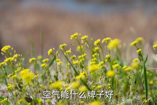 浙江開(kāi)創(chuàng)環(huán)?？萍脊煞萦邢薰?/></a></span><span id=