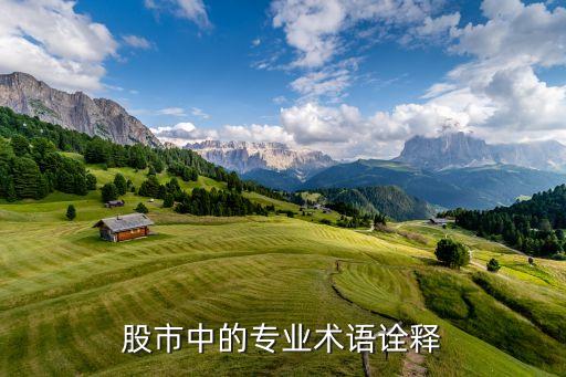 股市中的專業(yè)術語詮釋