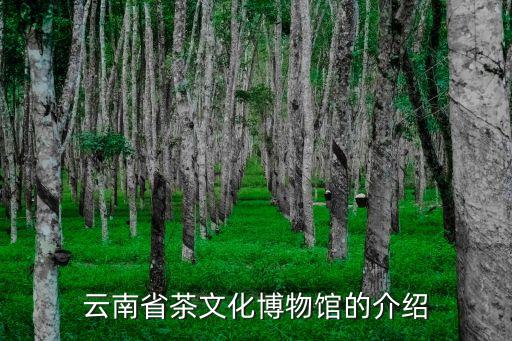 2015米蘭世博會中國參展品牌,米蘭世博會參展國家
