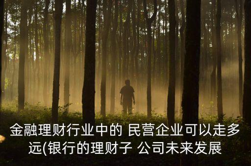 金融理財(cái)行業(yè)中的 民營(yíng)企業(yè)可以走多遠(yuǎn)(銀行的理財(cái)子 公司未來(lái)發(fā)展