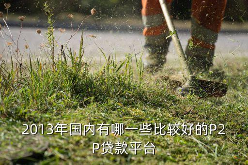 2013年國內有哪一些比較好的P2P貸款平臺