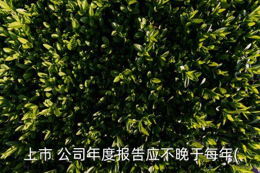 上市公司的年報,如何查上市公司的年報