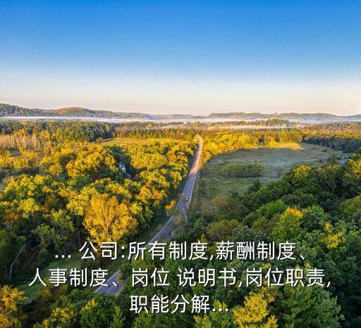 ... 公司:所有制度,薪酬制度、人事制度、崗位 說明書,崗位職責(zé),職能分解...