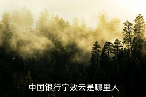 湖南省中國銀行行長(zhǎng),中國銀行湖南省分行行長(zhǎng)