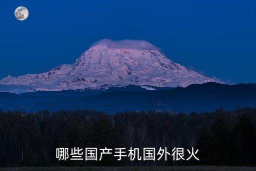 摩托羅拉中國(guó)最高占有率